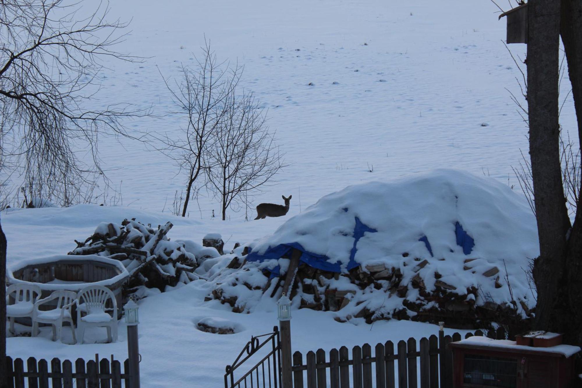Affaeren Ma Bra Bed & Breakfast Sunne Luaran gambar