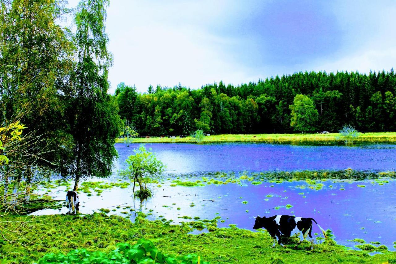 Affaeren Ma Bra Bed & Breakfast Sunne Luaran gambar